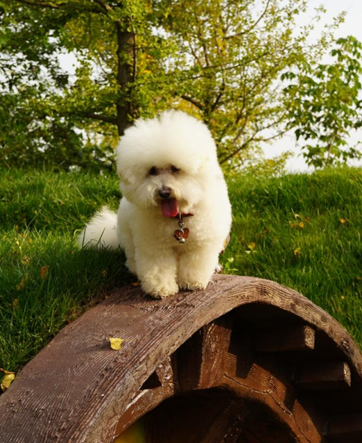 pp电子·模拟器(试玩游戏)官方网站